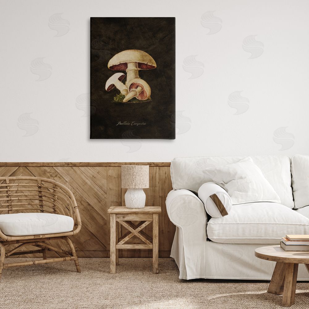 Tina Higgins Designs Inc. Vintage Portobello Mushroom Canvas Wall Art Print in Room