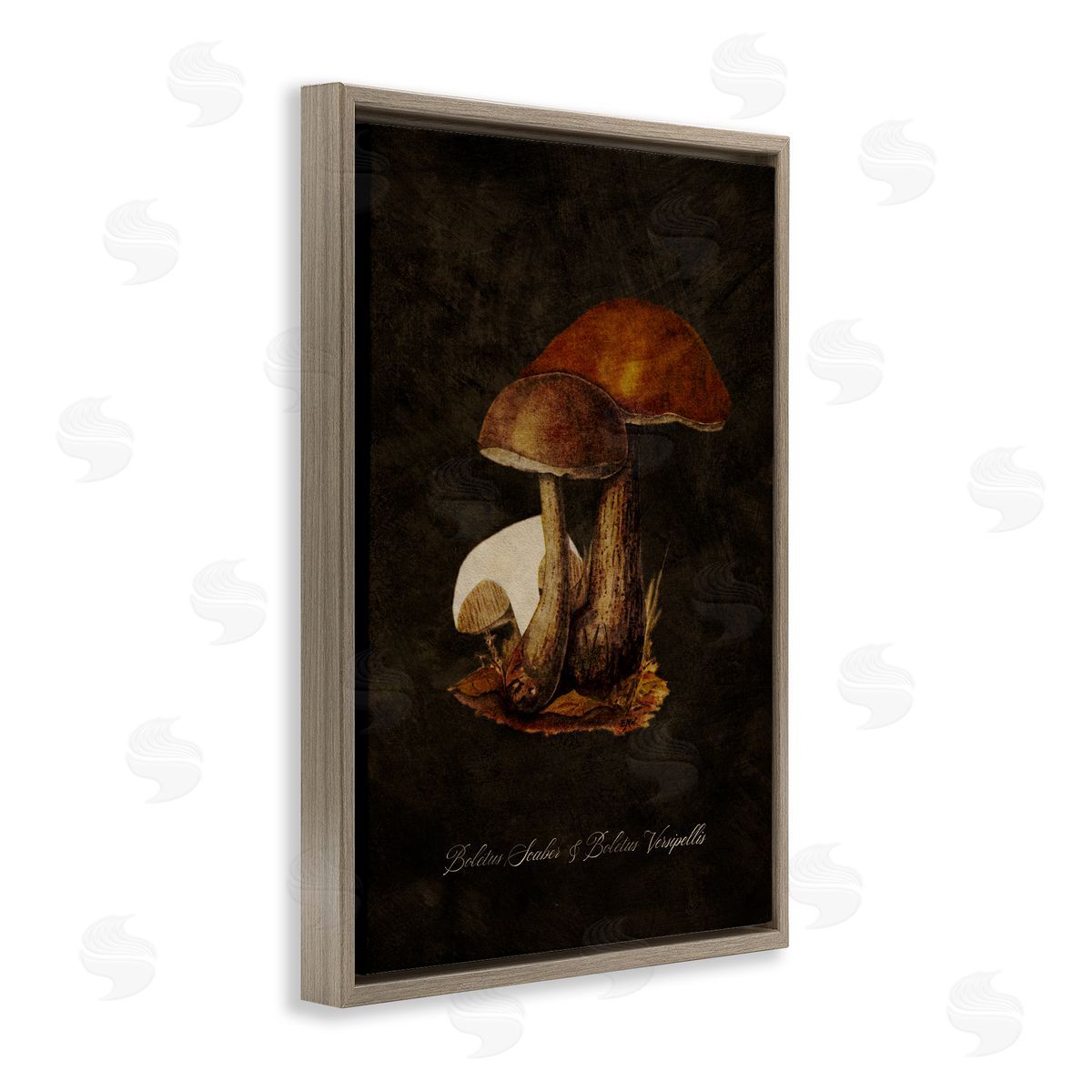 Tina Higgins Designs Inc. Mushroom Types Study Brown Floating Frame Canvas Wall Art Print