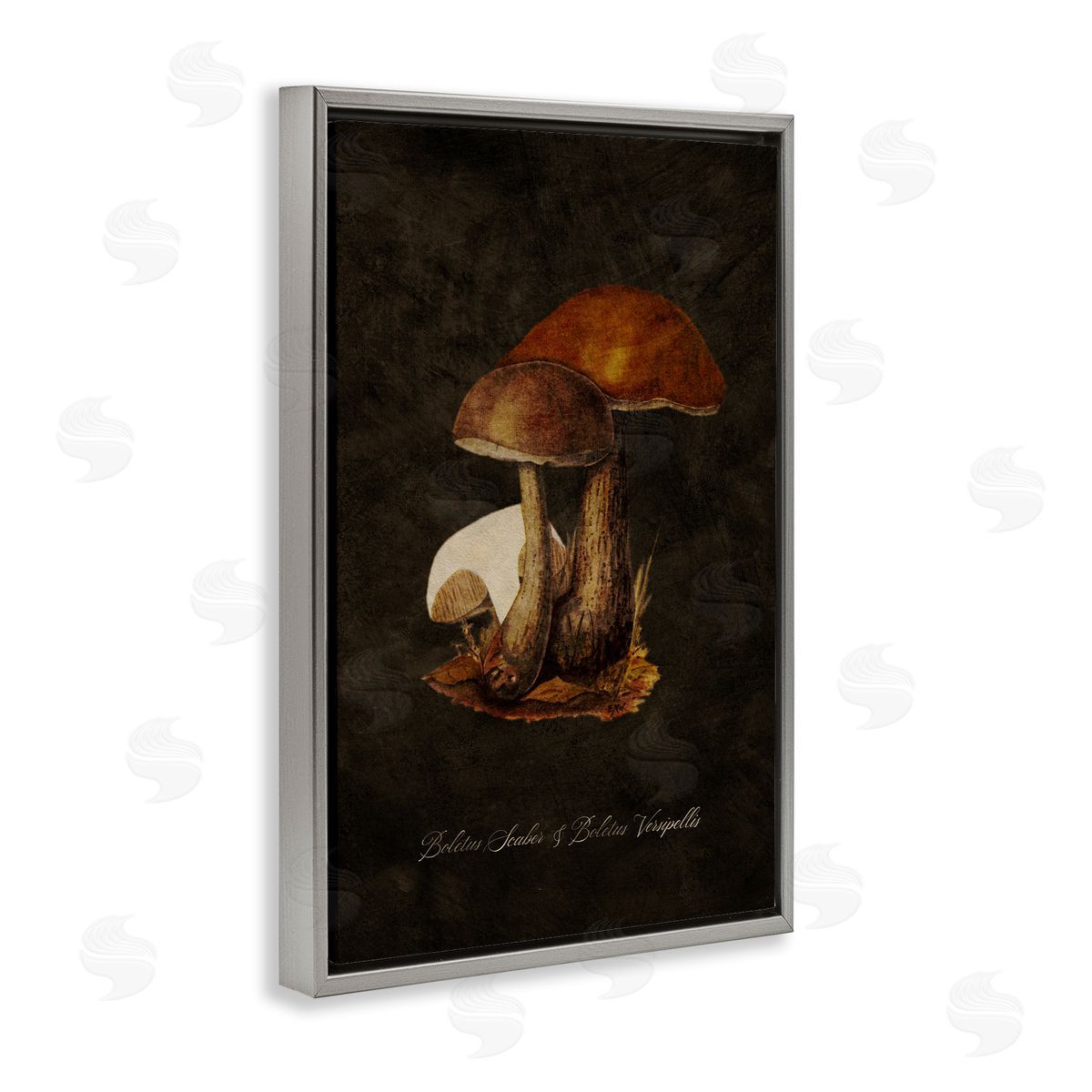 Tina Higgins Designs Inc. Mushroom Types Study Gray Floating Frame Canvas Wall Art Print