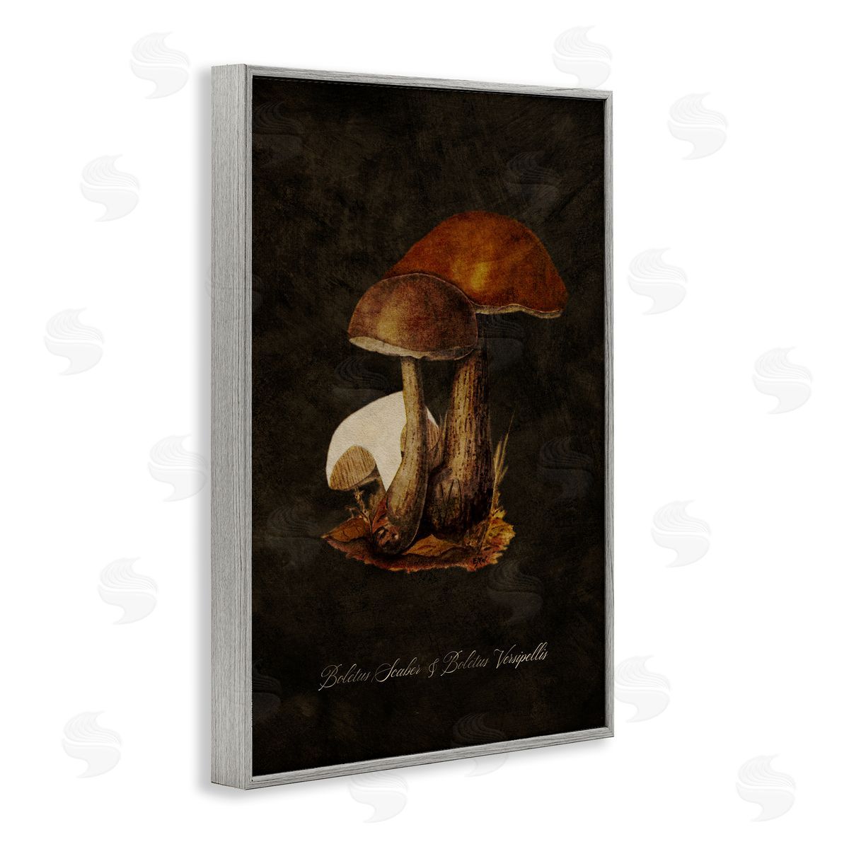 Tina Higgins Designs Inc. Mushroom Types Study Gray Framed Giclee Wall Art Print