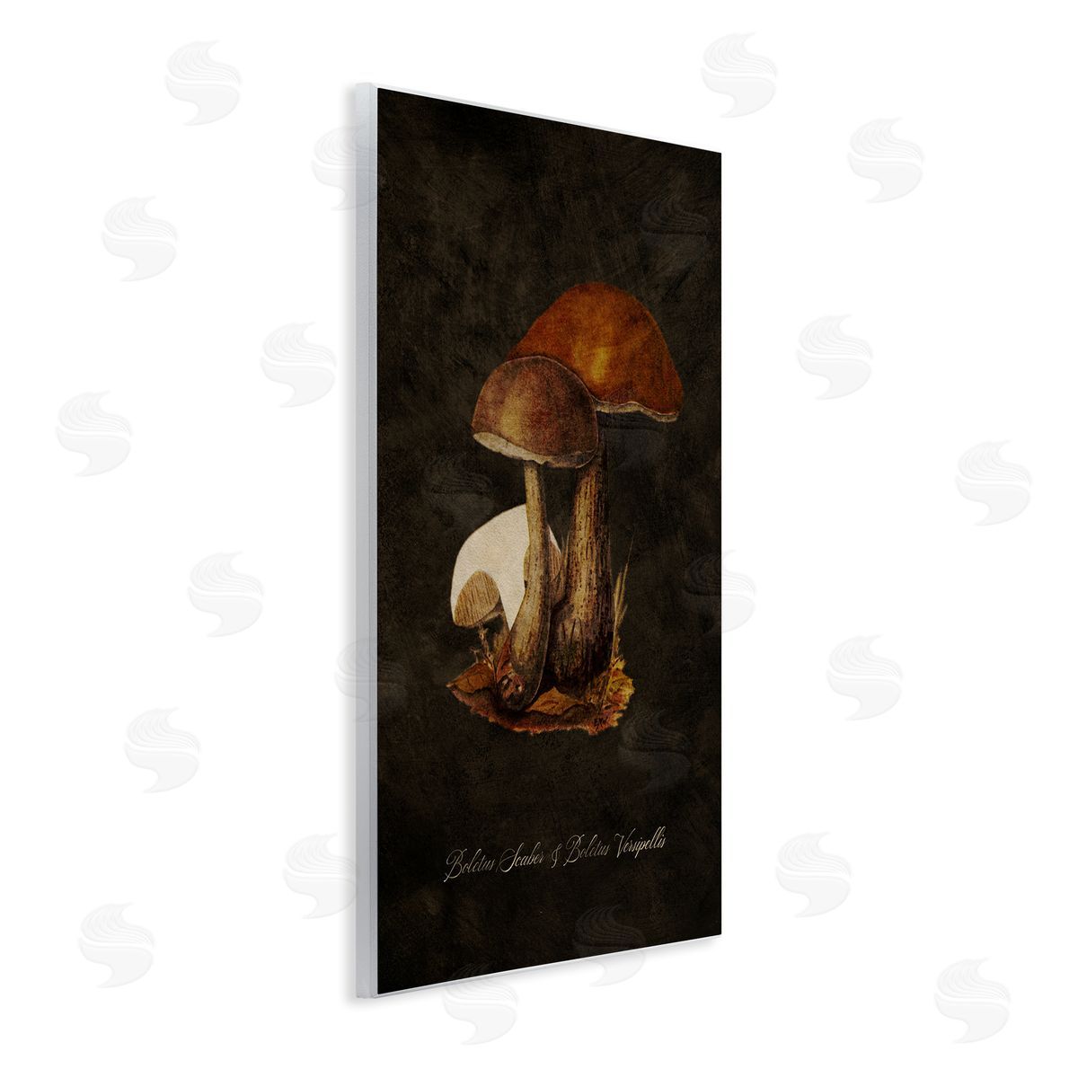 Tina Higgins Designs Inc. Mushroom Types Study Wooden Wall Plaque Art Print