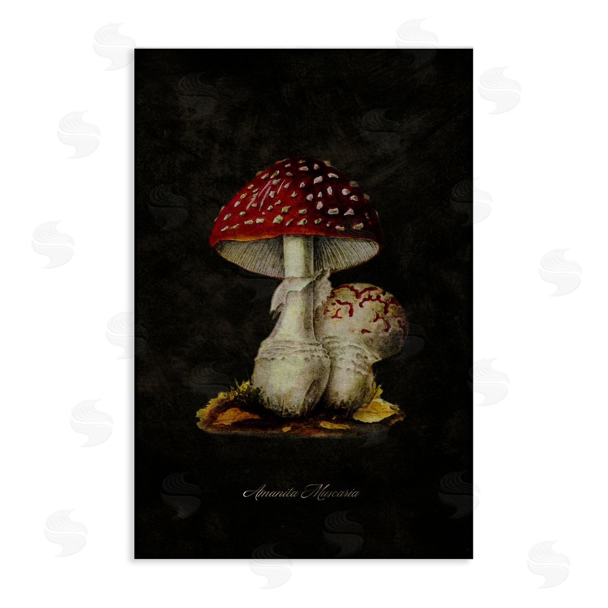 Tina Higgins Designs Inc. Rustic Mushroom Pair Canvas Wall Art Print