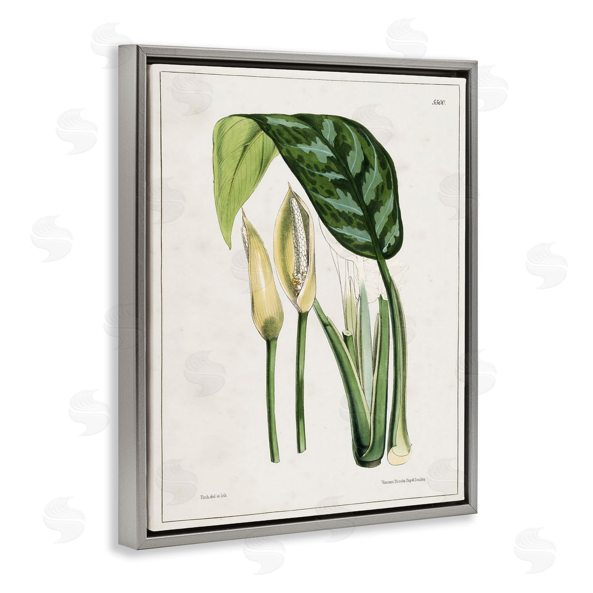 Tina Higgins Designs Inc. Pond Plant Study Gray Floating Frame Canvas Wall Art Print