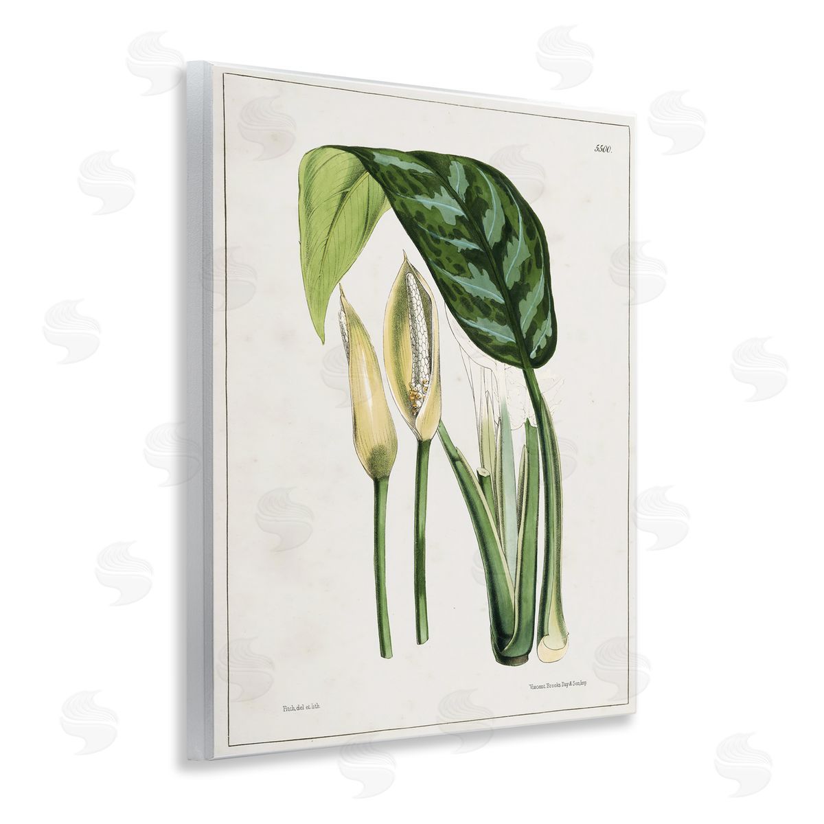Tina Higgins Designs Inc. Pond Plant Study Wooden Wall Plaque Art Print