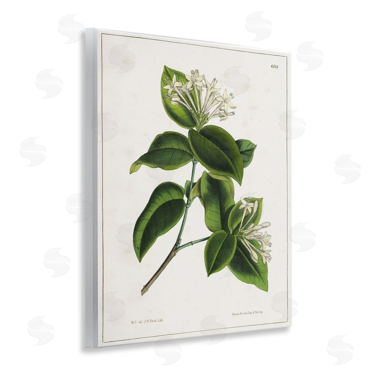 Tina Higgins Designs Inc. Blooming Vintage Study Wooden Wall Plaque Art Print