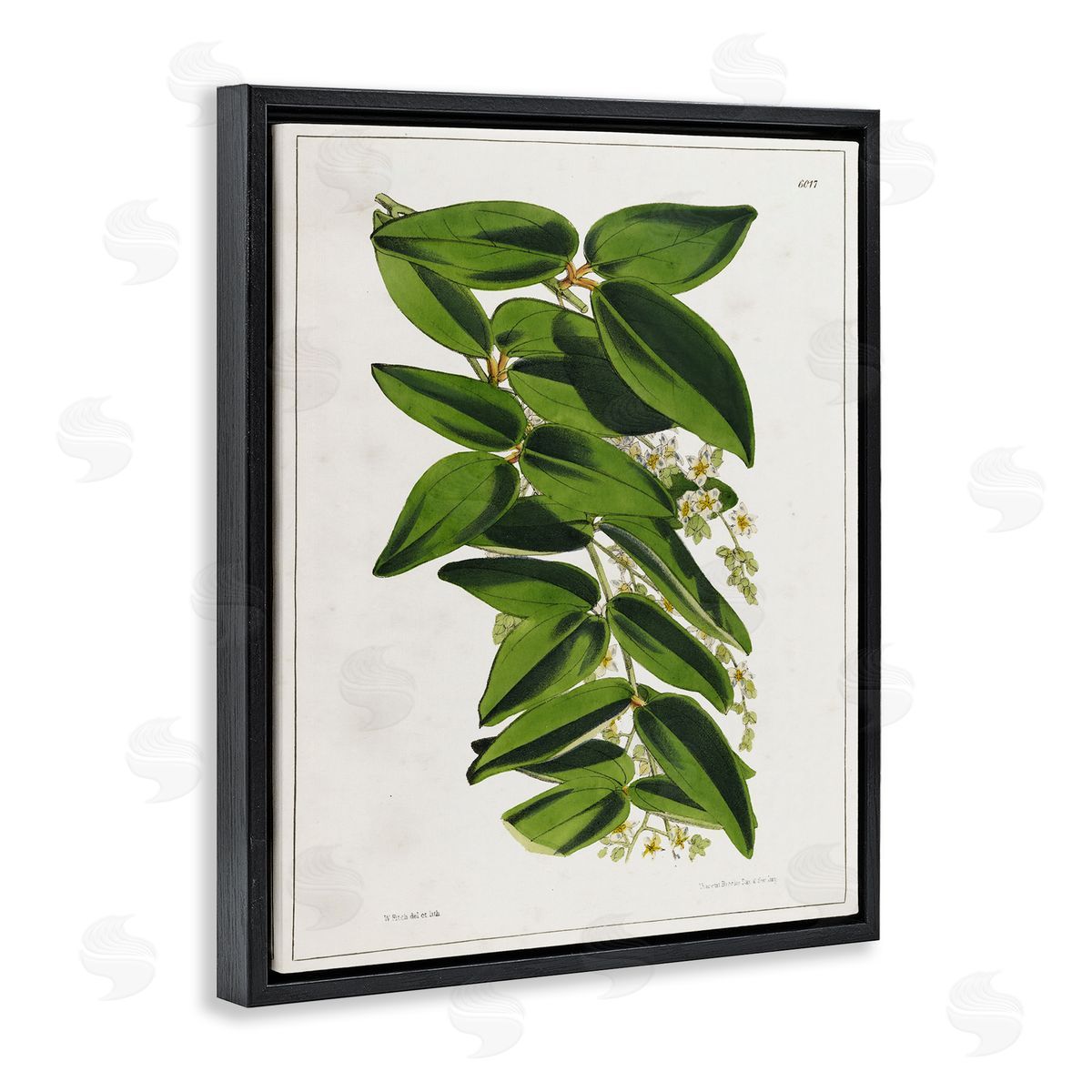 Tina Higgins Designs Inc. Stacked Leaves Botanical Black Floating Frame Canvas Wall Art Print