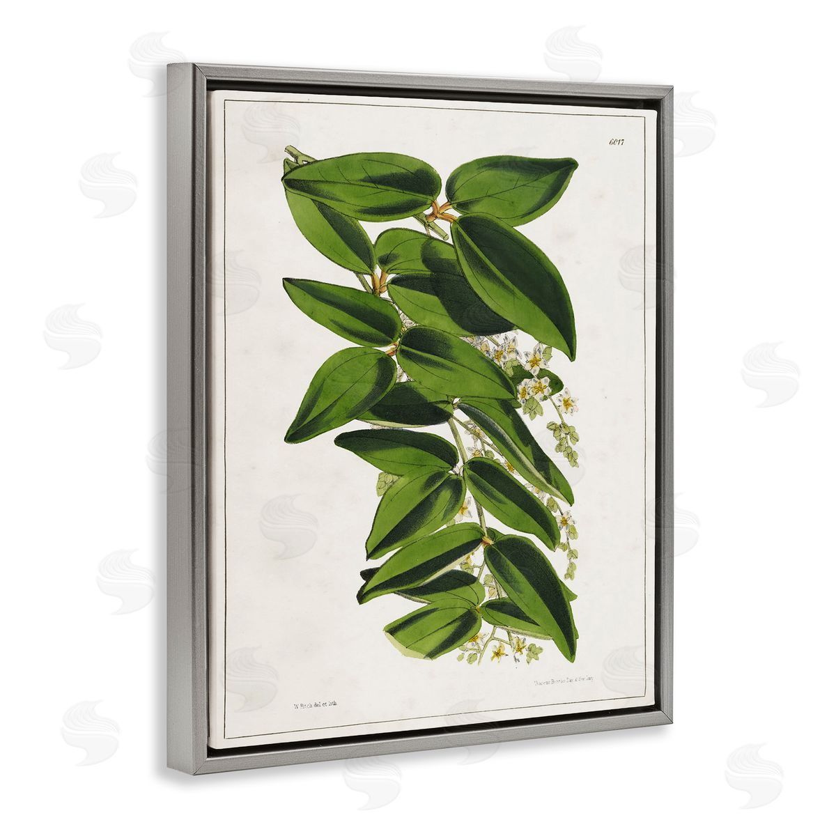 Tina Higgins Designs Inc. Stacked Leaves Botanical Gray Floating Frame Canvas Wall Art Print