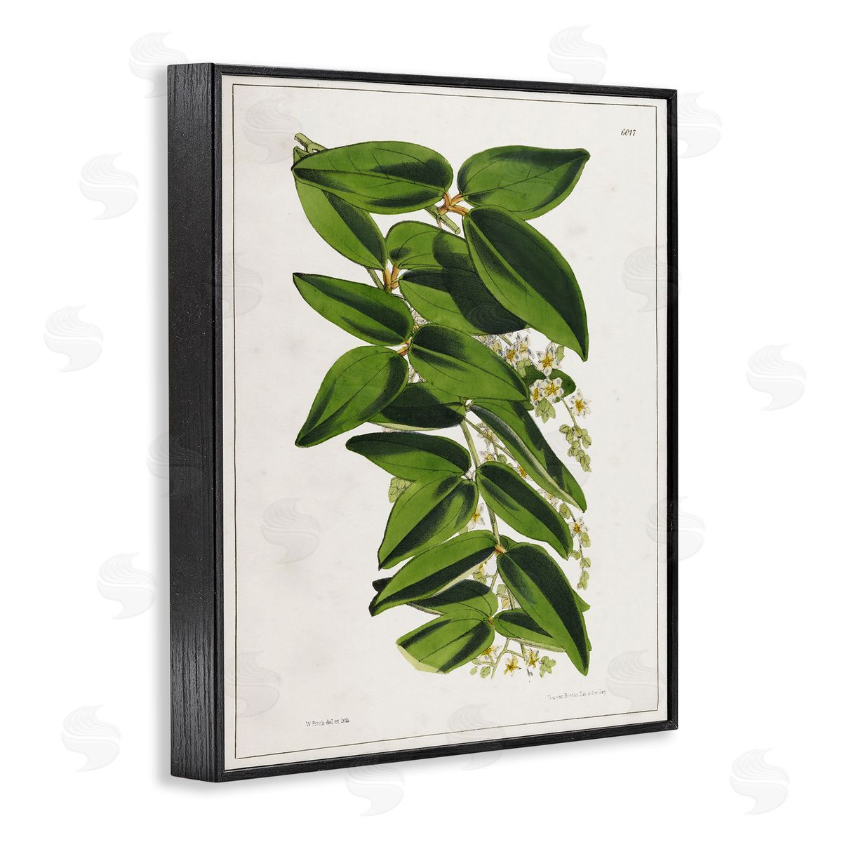 Tina Higgins Designs Inc. Stacked Leaves Botanical Black Framed Giclee Wall Art Print