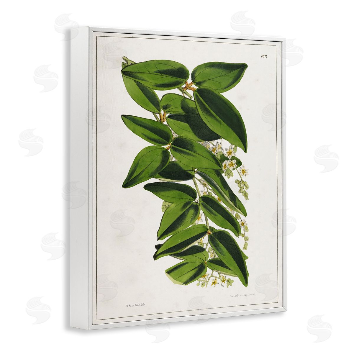 Tina Higgins Designs Inc. Stacked Leaves Botanical White Framed Giclee Wall Art Print