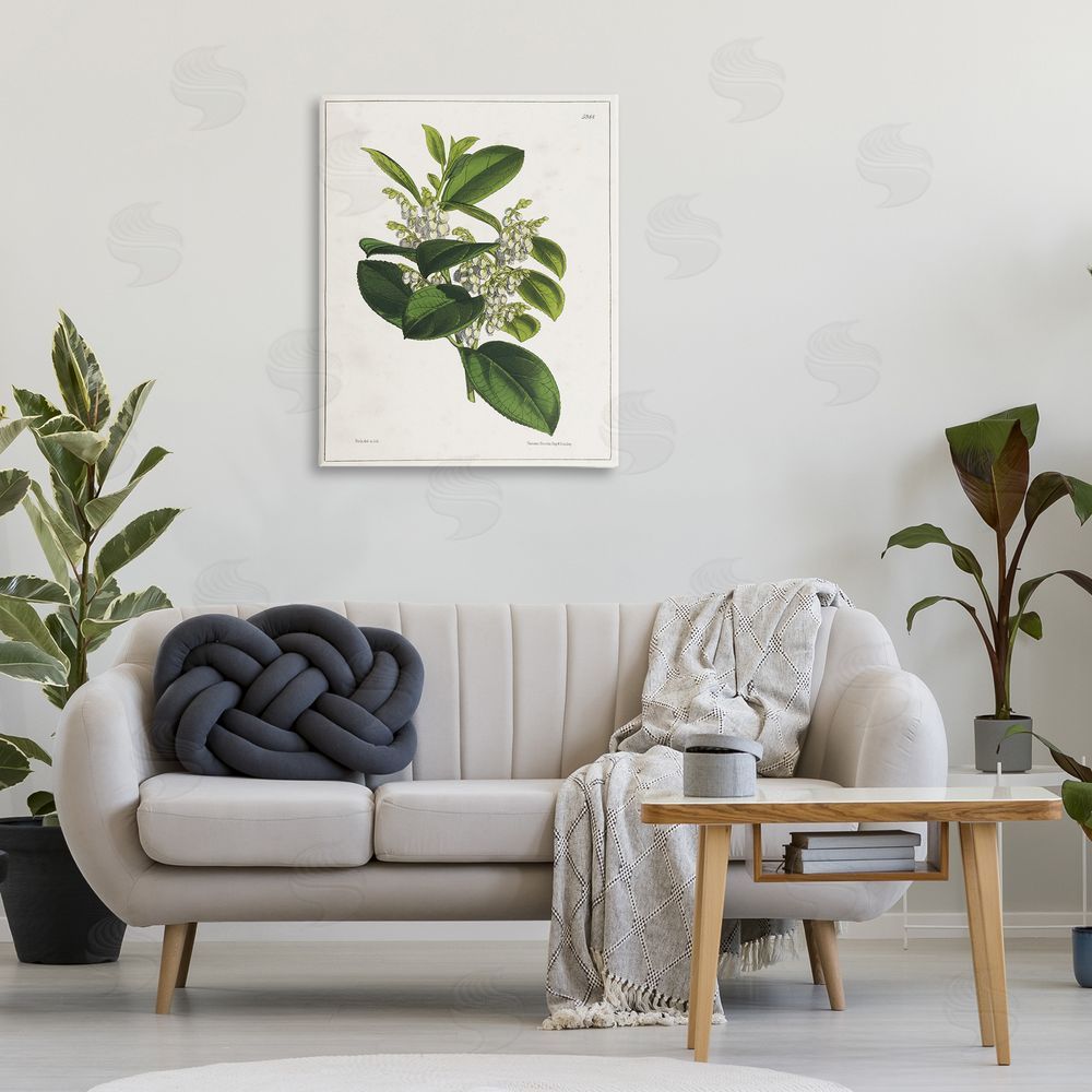 Tina Higgins Designs Inc. Forest Nature Botanical Canvas Wall Art Print in Room