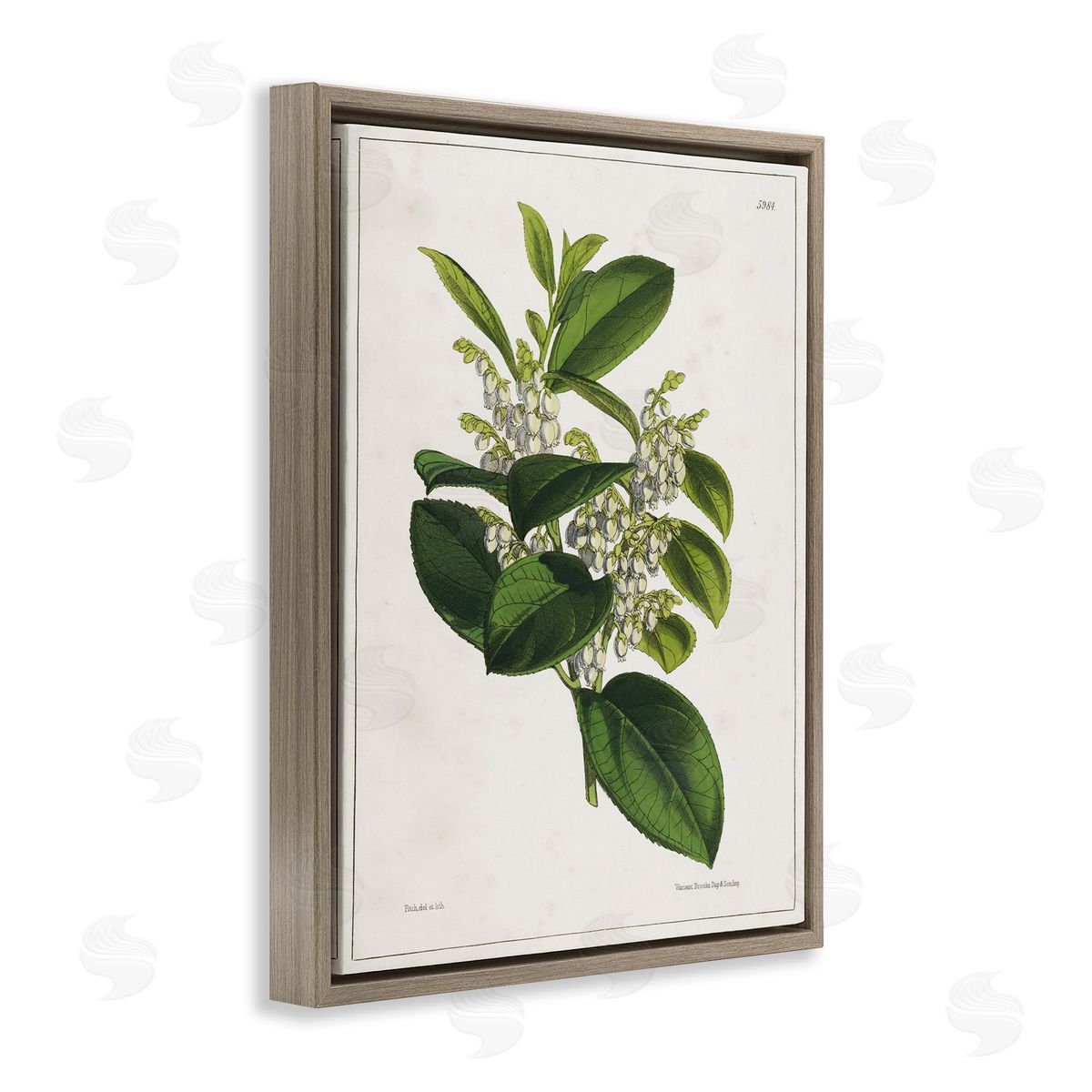 Tina Higgins Designs Inc. Forest Nature Botanical Brown Floating Frame Canvas Wall Art Print