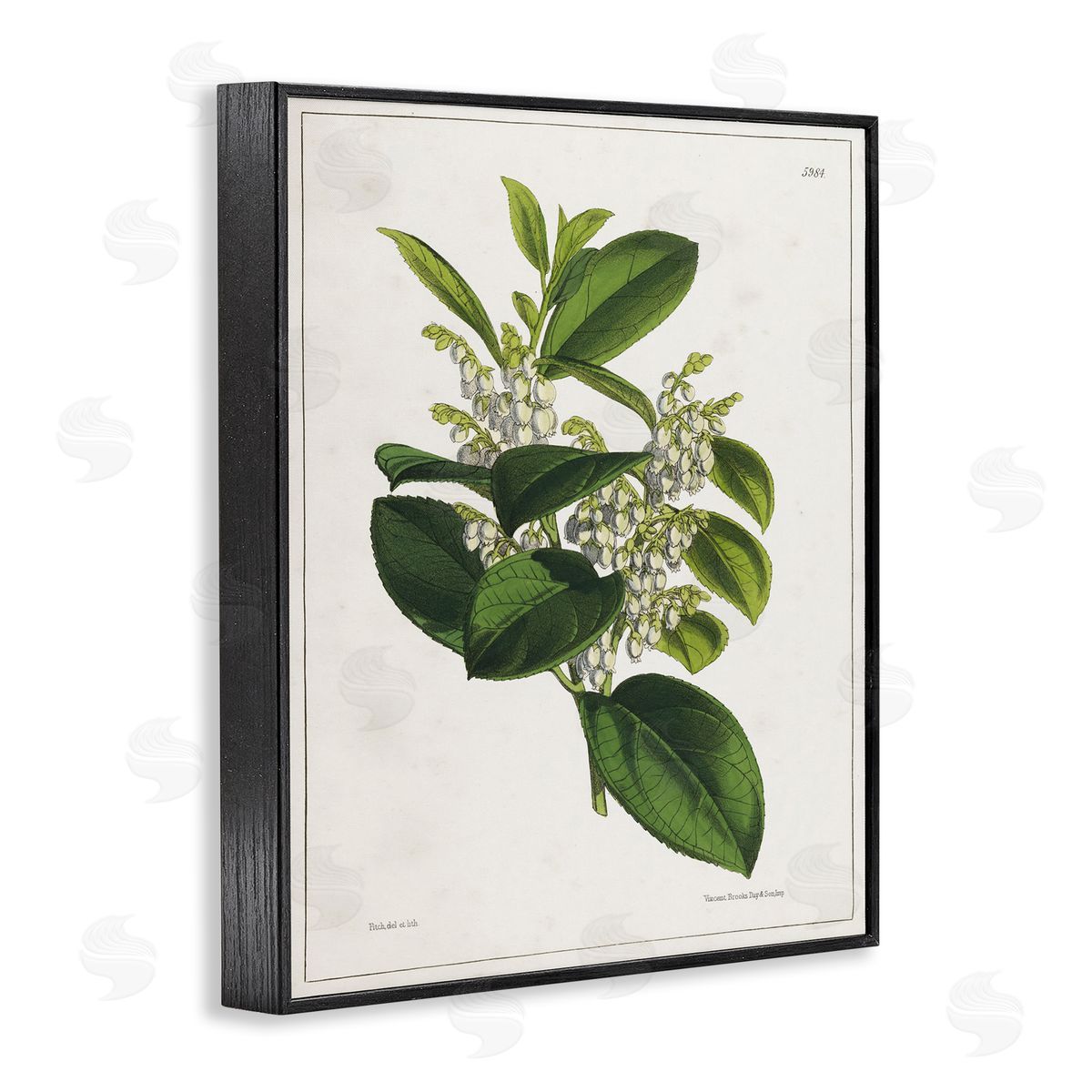 Tina Higgins Designs Inc. Forest Nature Botanical Black Framed Giclee Wall Art Print