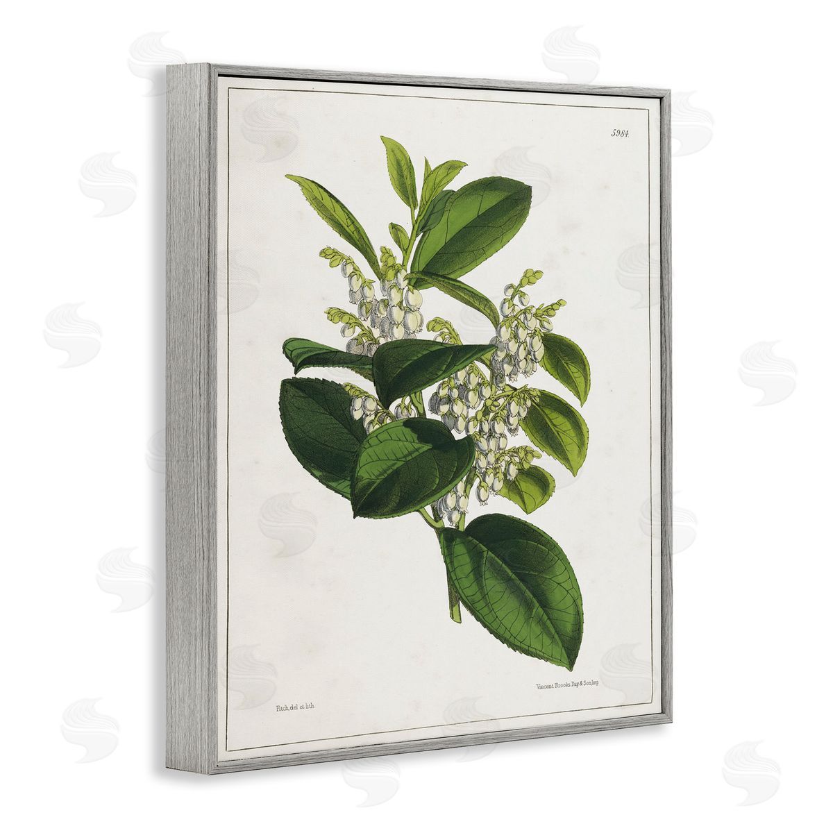 Tina Higgins Designs Inc. Forest Nature Botanical Gray Framed Giclee Wall Art Print
