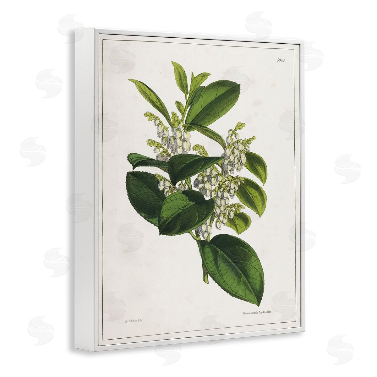 Tina Higgins Designs Inc. Forest Nature Botanical White Framed Giclee Wall Art Print