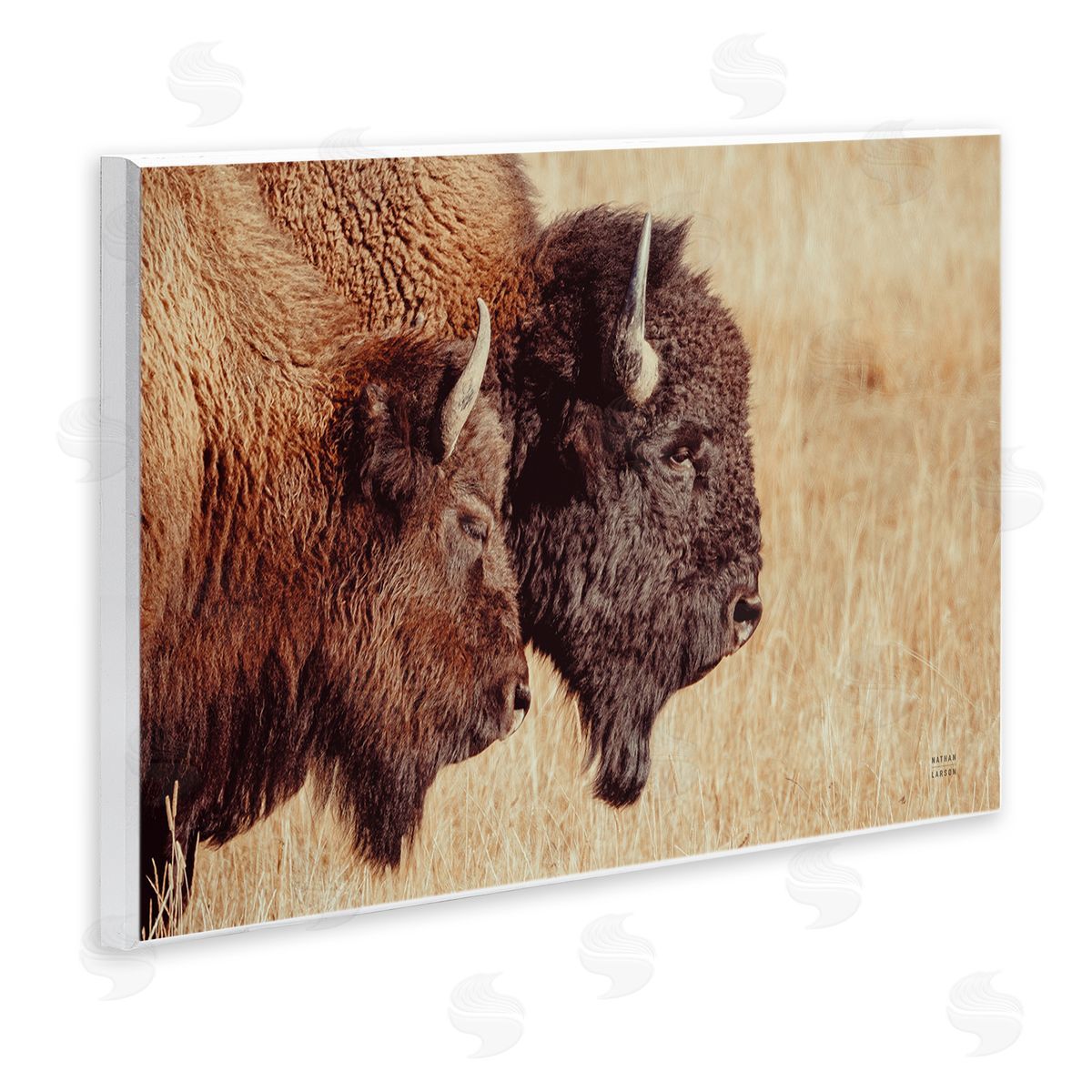 Nathan Larson Bison Pair in Countryside Wooden Wall Plaque Art Print