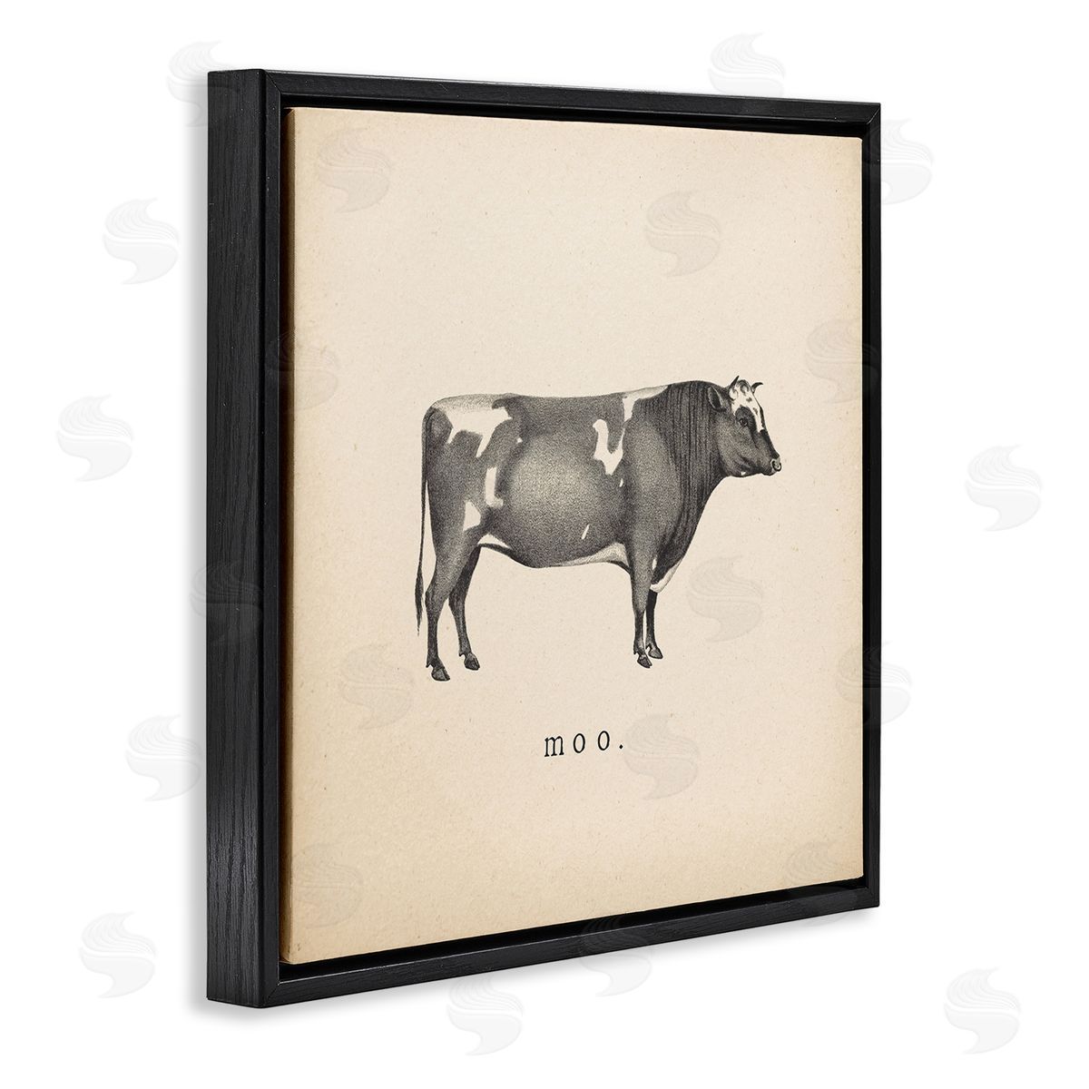 Wild Apple Portfolio Moo Farm Cow Sounds Black Floating Frame Canvas Wall Art Print