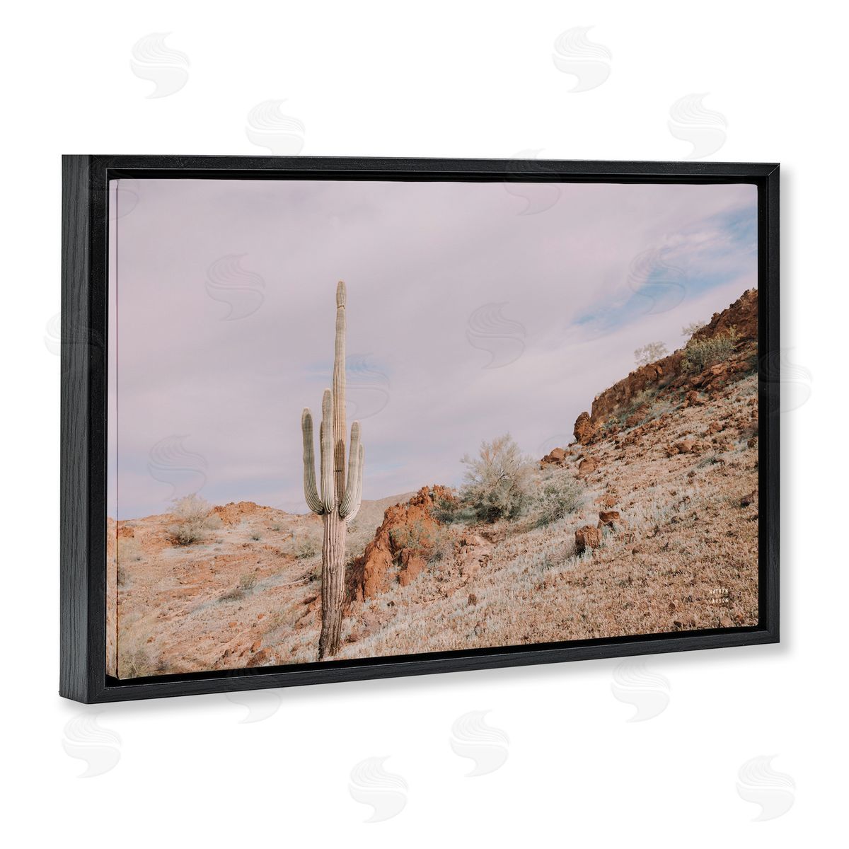 Nathan Larson The Climb Desertscape Black Floating Frame Canvas Wall Art Print