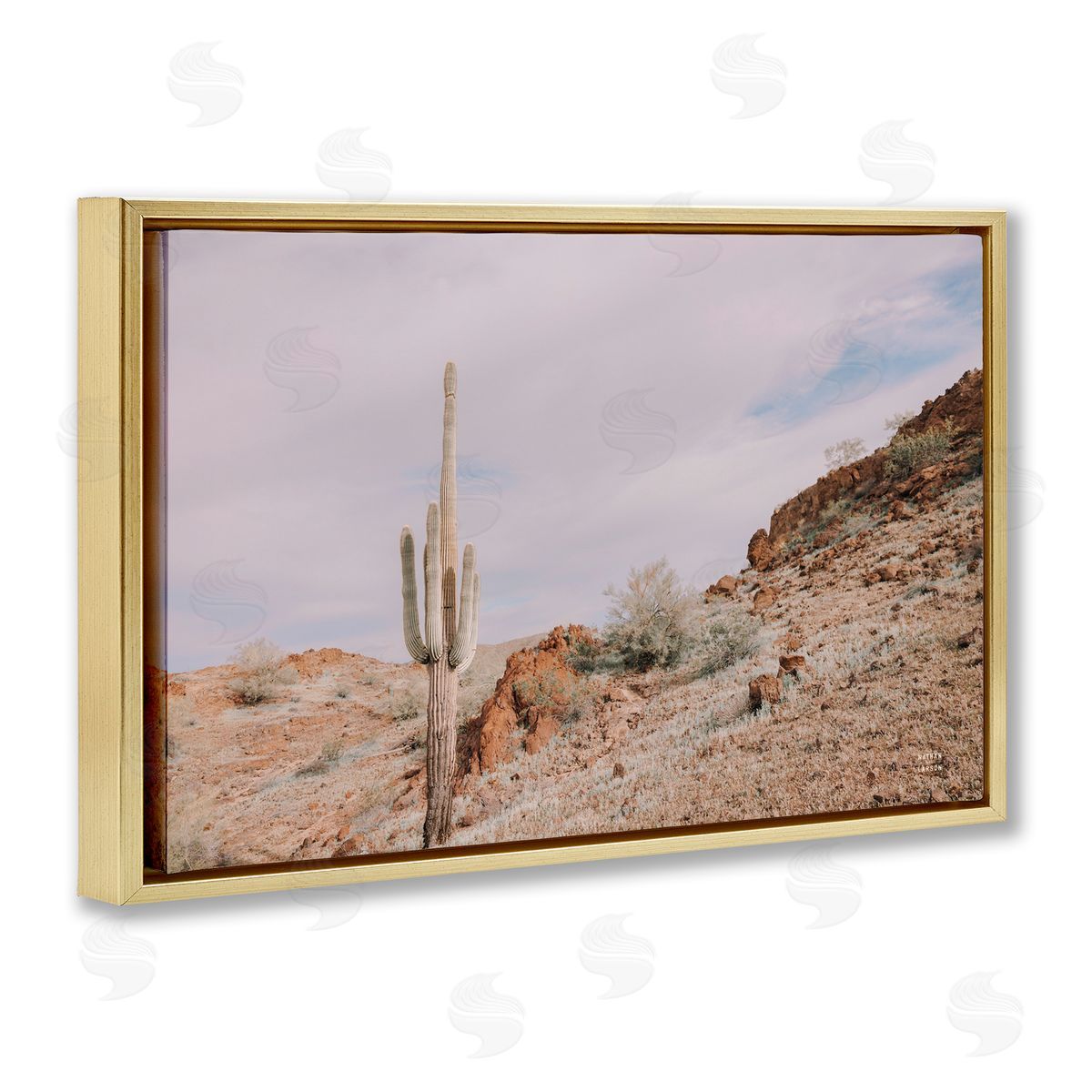 Nathan Larson The Climb Desertscape Gold Floating Frame Canvas Wall Art Print