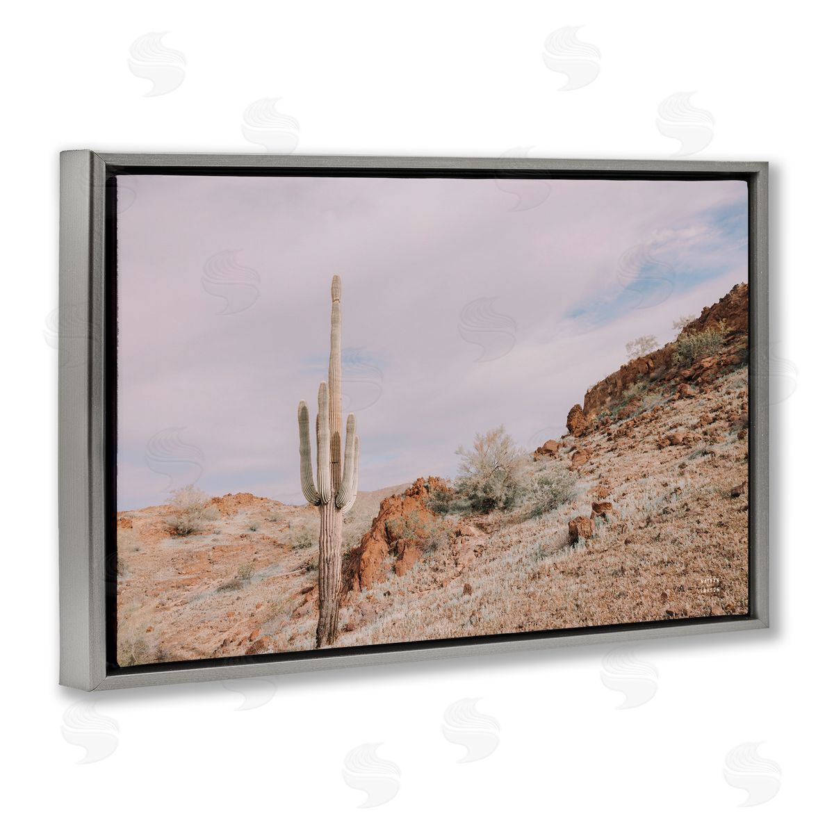 Nathan Larson The Climb Desertscape Gray Floating Frame Canvas Wall Art Print