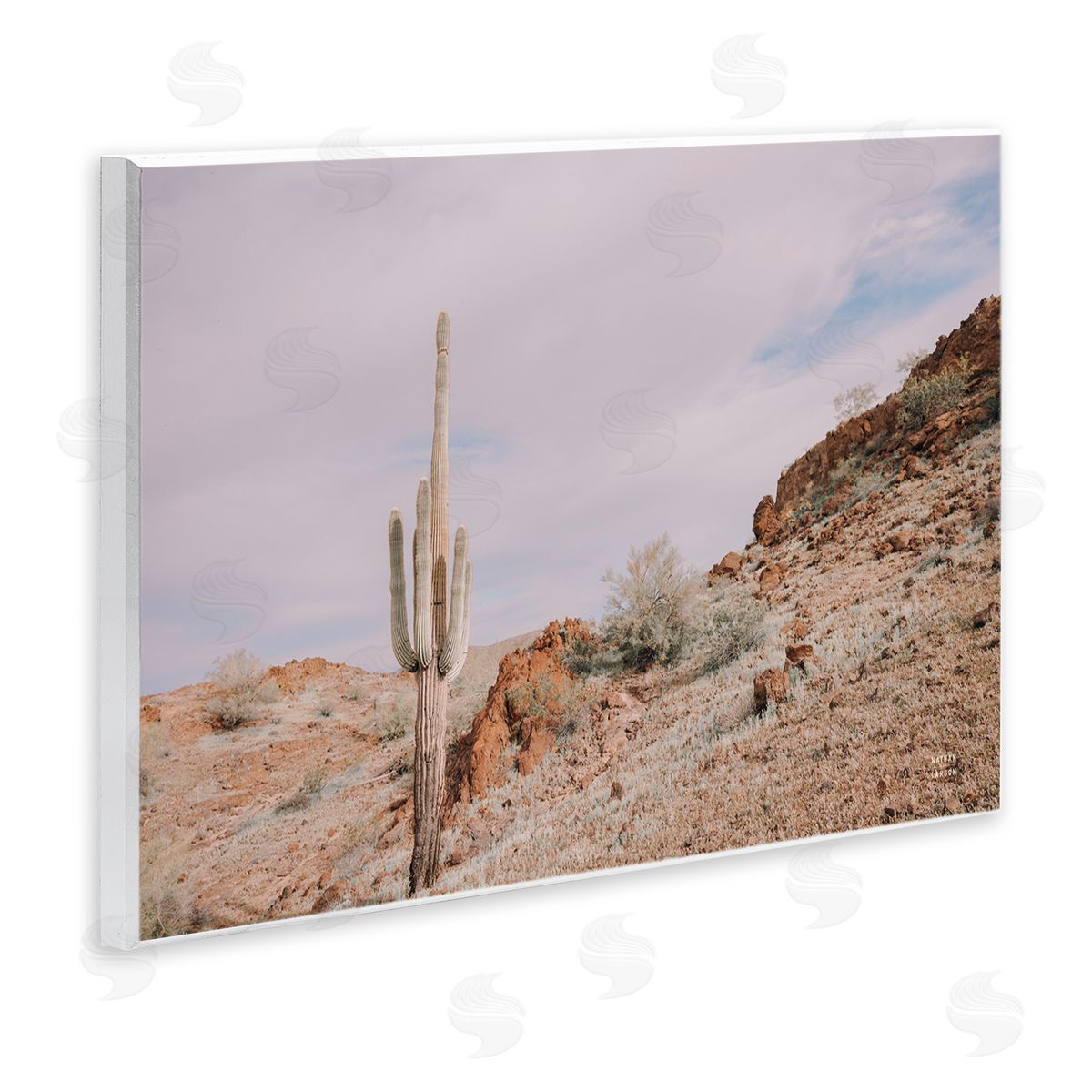 Nathan Larson The Climb Desertscape Wooden Wall Plaque Art Print