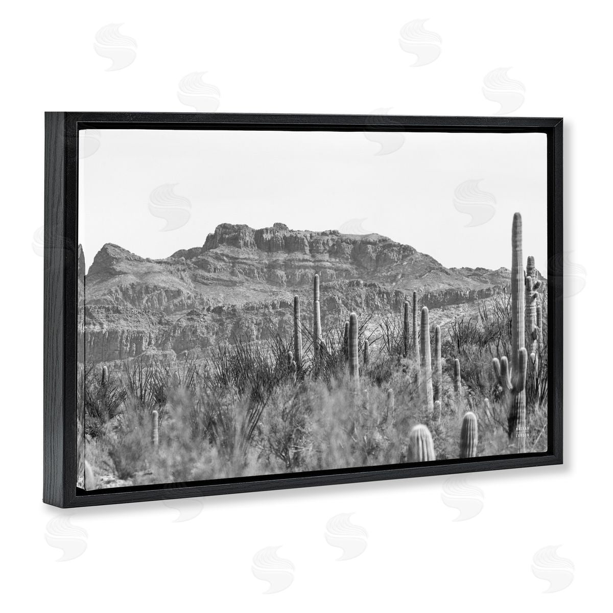 Nathan Larson American Borderlands Desertscape Black Floating Frame Canvas Wall Art Print