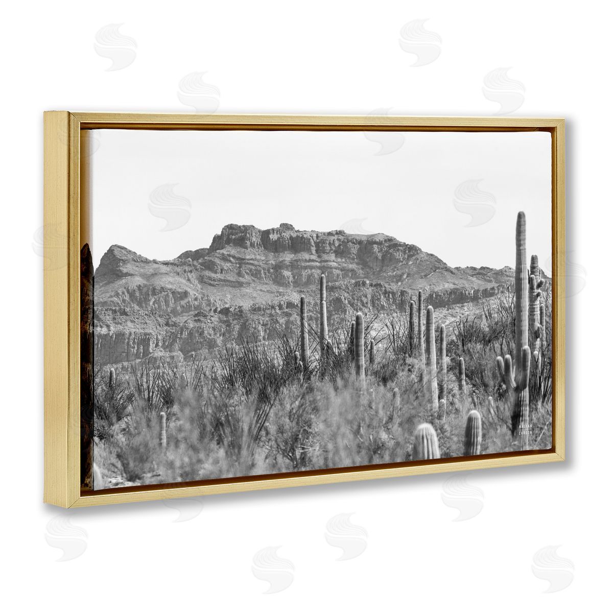 Nathan Larson American Borderlands Desertscape Gold Floating Frame Canvas Wall Art Print