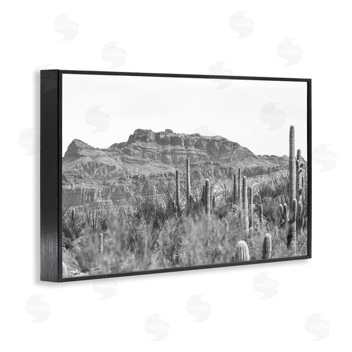 Nathan Larson American Borderlands Desertscape Black Framed Giclee Wall Art Print