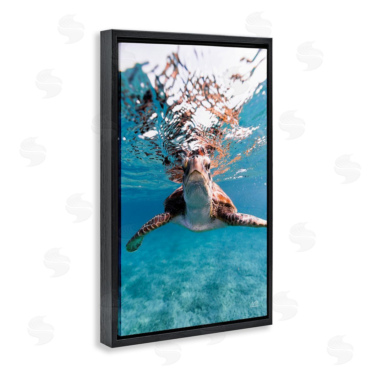 Max Blakesberg Studios Hello Sea Turtle Splash Black Floating Frame Canvas Wall Art Print