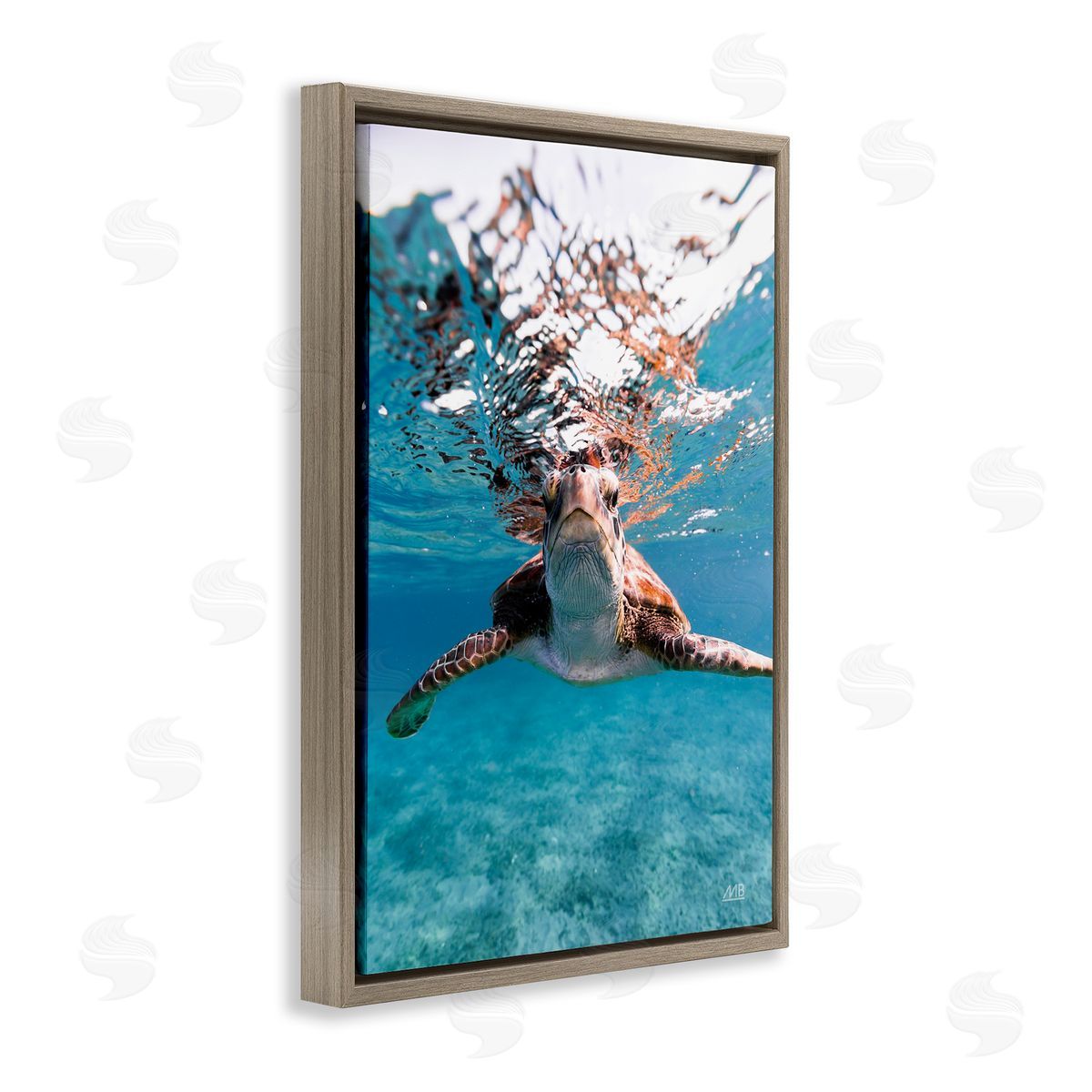 Max Blakesberg Studios Hello Sea Turtle Splash Brown Floating Frame Canvas Wall Art Print