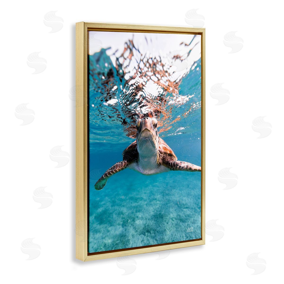 Max Blakesberg Studios Hello Sea Turtle Splash Gold Floating Frame Canvas Wall Art Print