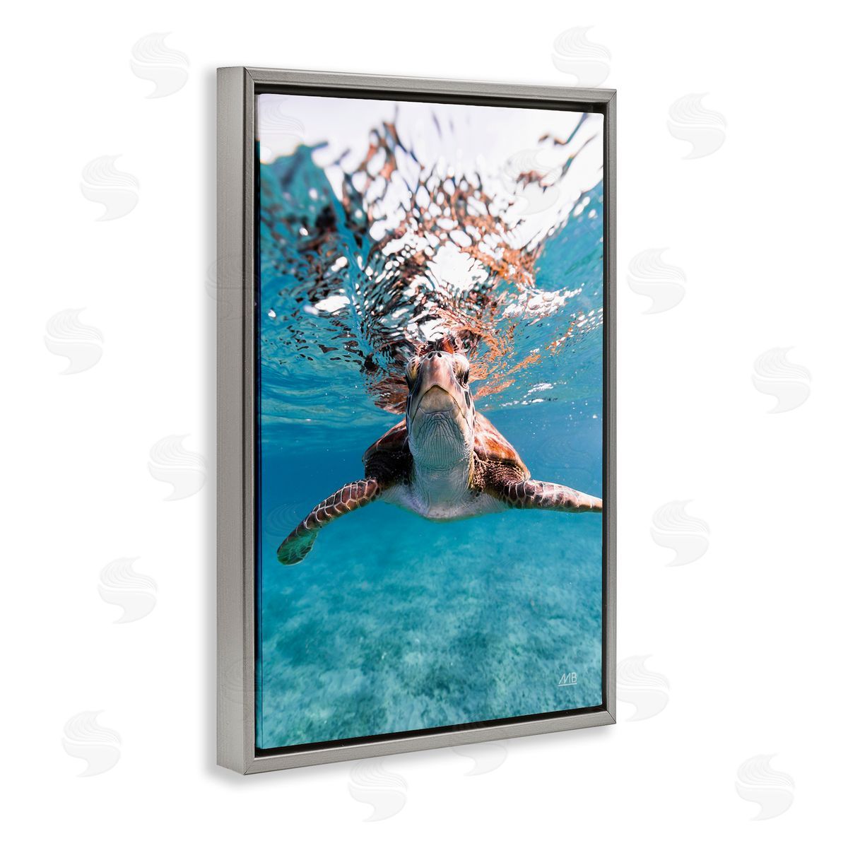 Max Blakesberg Studios Hello Sea Turtle Splash Gray Floating Frame Canvas Wall Art Print