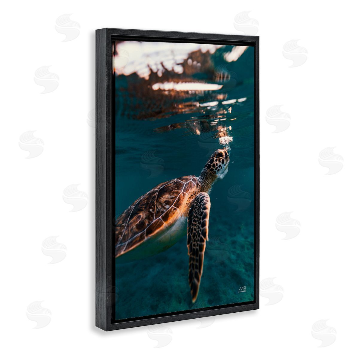 Max Blakesberg Studios Blowing Bubbles Turtle Black Floating Frame Canvas Wall Art Print