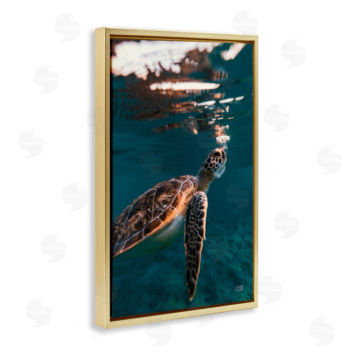 Max Blakesberg Studios Blowing Bubbles Turtle Gold Floating Frame Canvas Wall Art Print