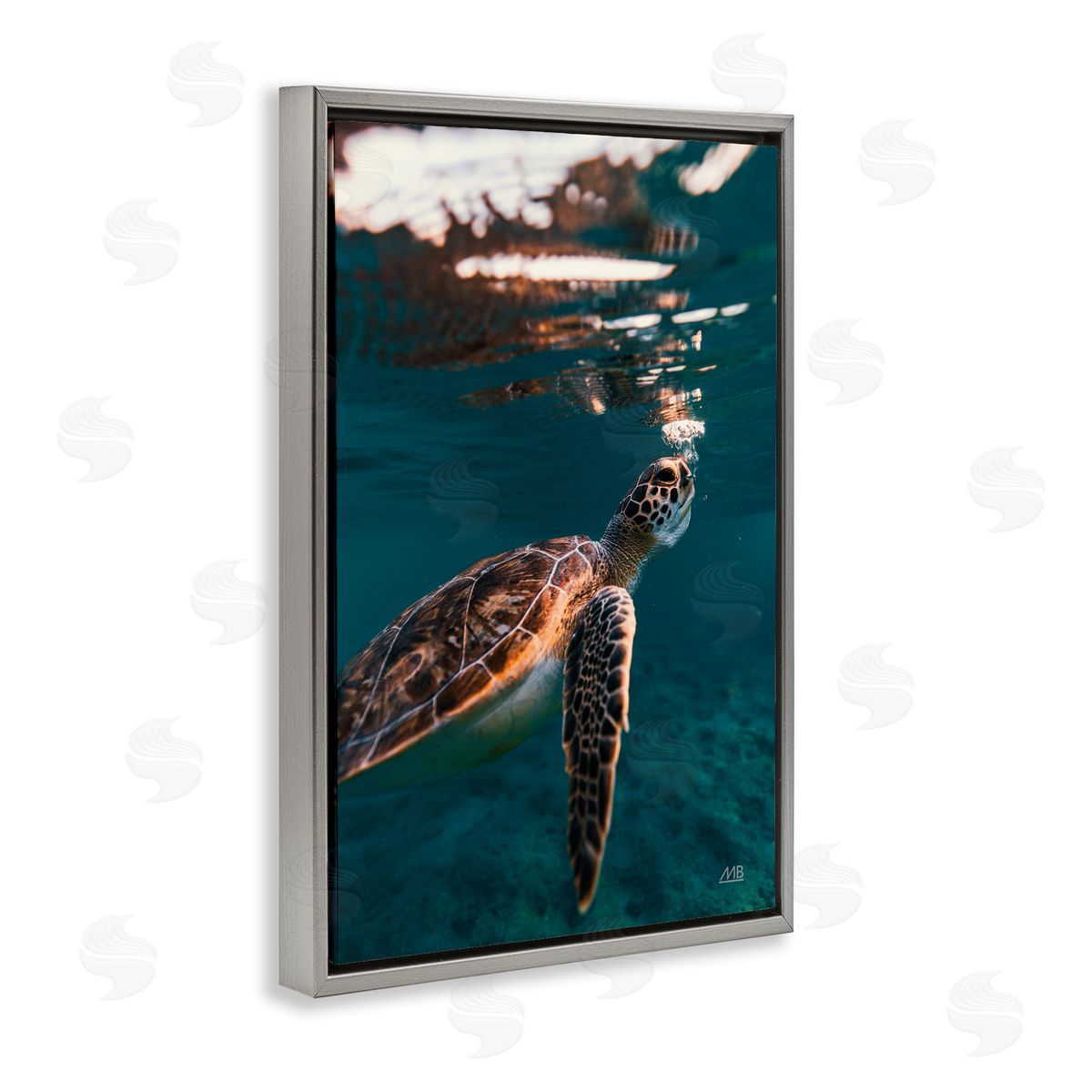 Max Blakesberg Studios Blowing Bubbles Turtle Gray Floating Frame Canvas Wall Art Print