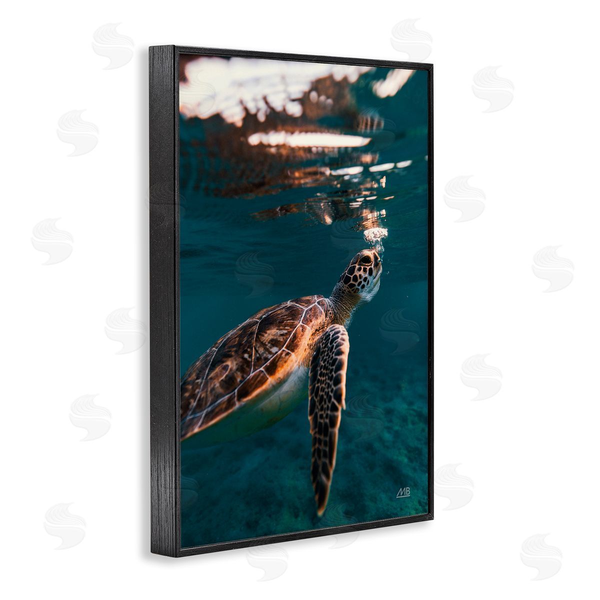 Max Blakesberg Studios Blowing Bubbles Turtle Black Framed Giclee Wall Art Print