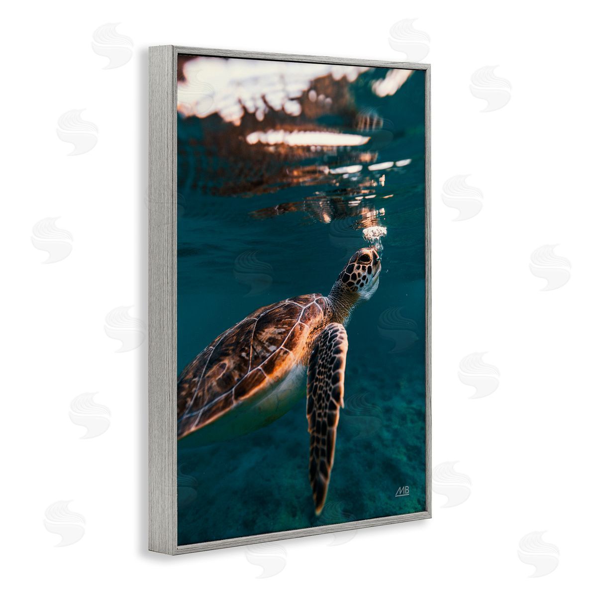 Max Blakesberg Studios Blowing Bubbles Turtle Gray Framed Giclee Wall Art Print