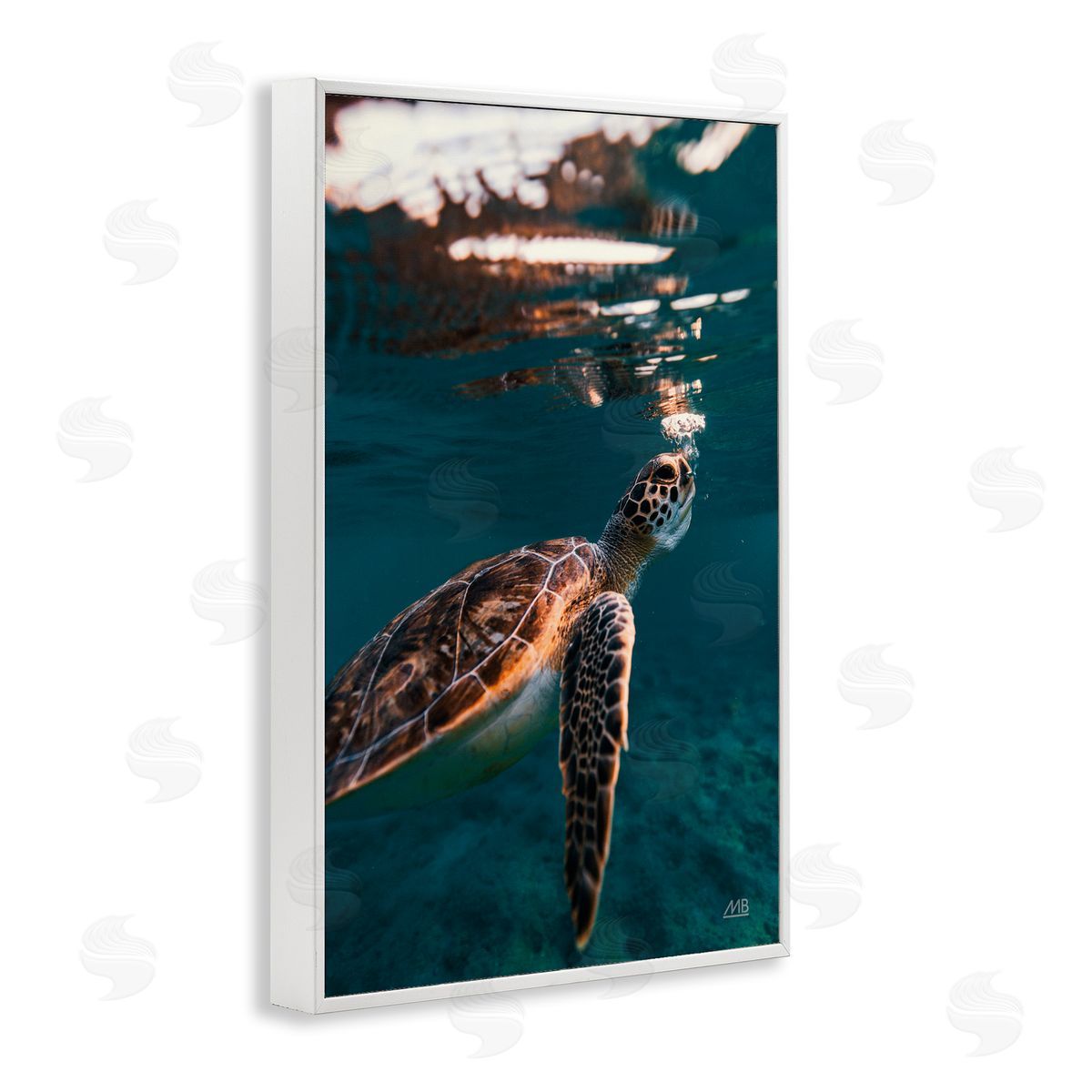 Max Blakesberg Studios Blowing Bubbles Turtle White Framed Giclee Wall Art Print