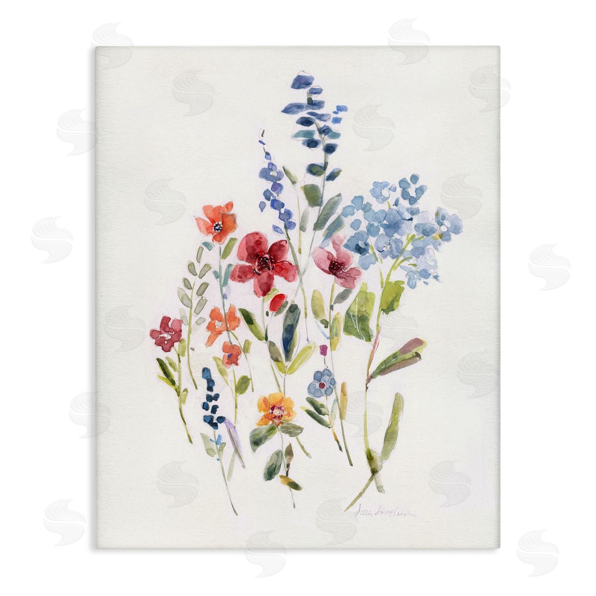 Sally Swatland Blooming Wildflower Buds Canvas Wall Art Print