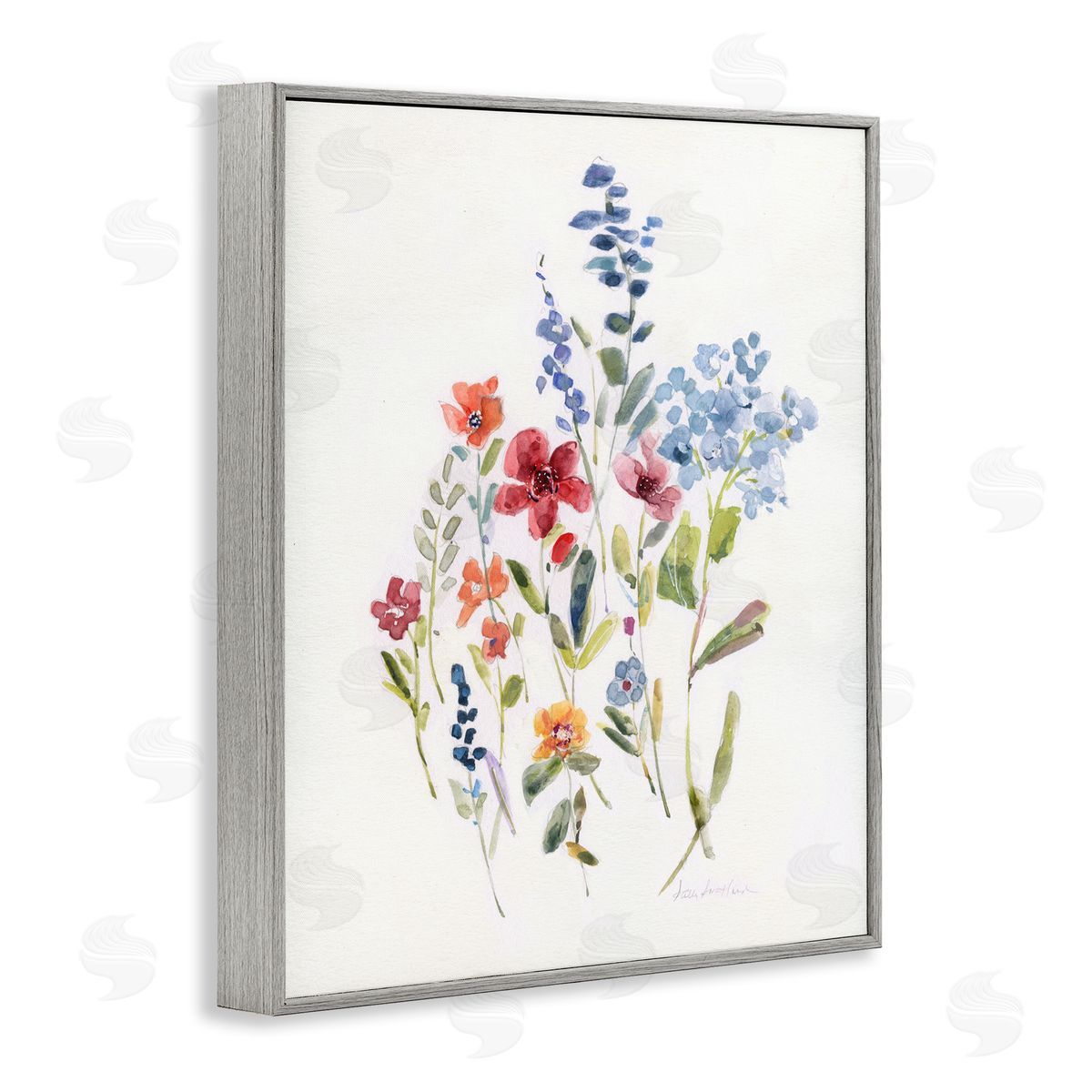 Sally Swatland Blooming Wildflower Buds Gray Framed Giclee Wall Art Print
