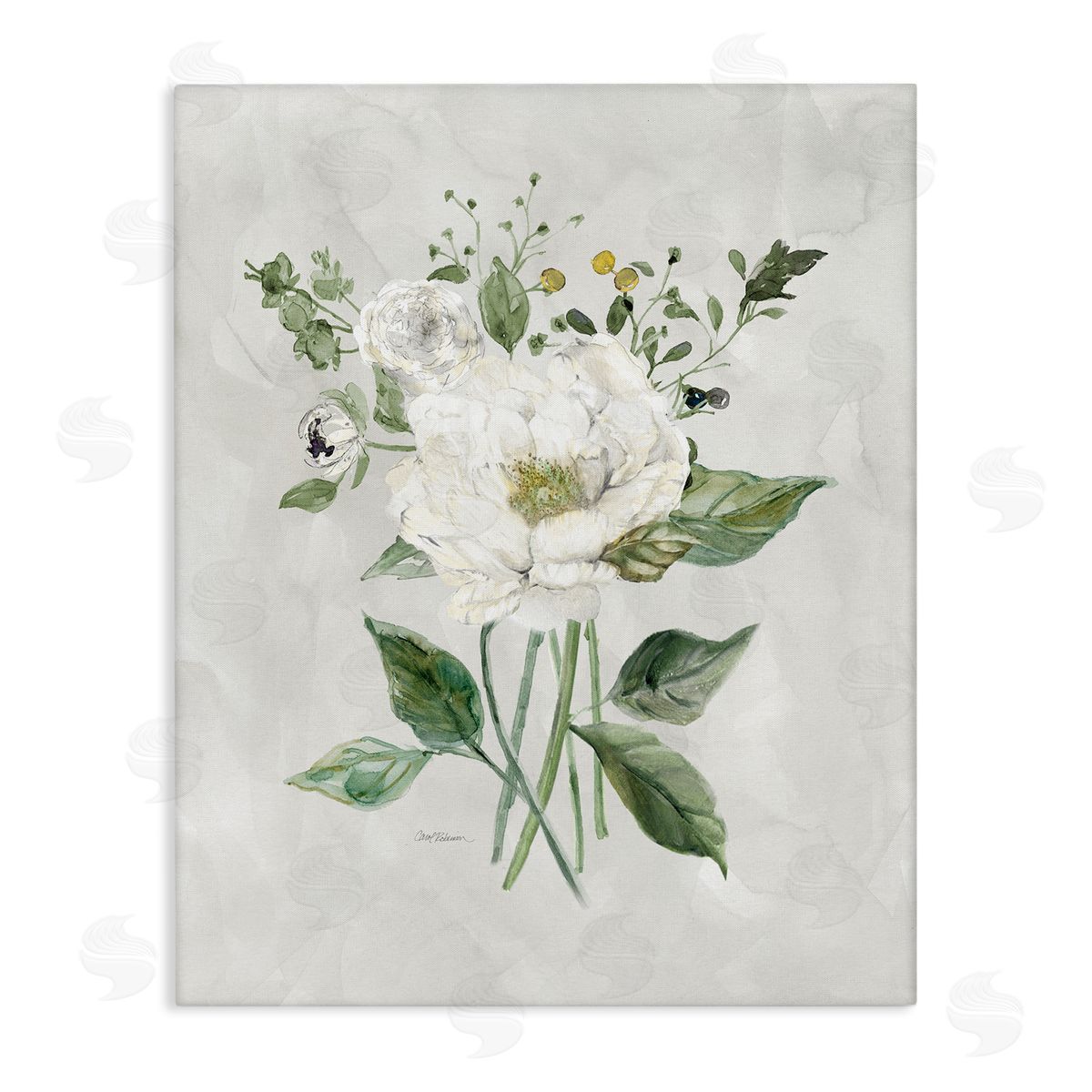 Carol Robinson Cottage White Flowers Canvas Wall Art Print