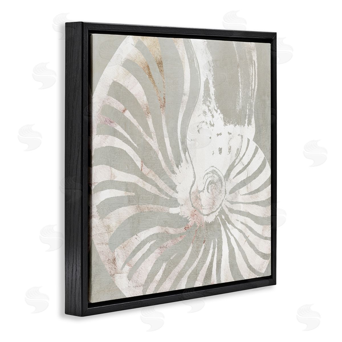 Carol Robinson Beige Nautilus Pattern Black Floating Frame Canvas Wall Art Print