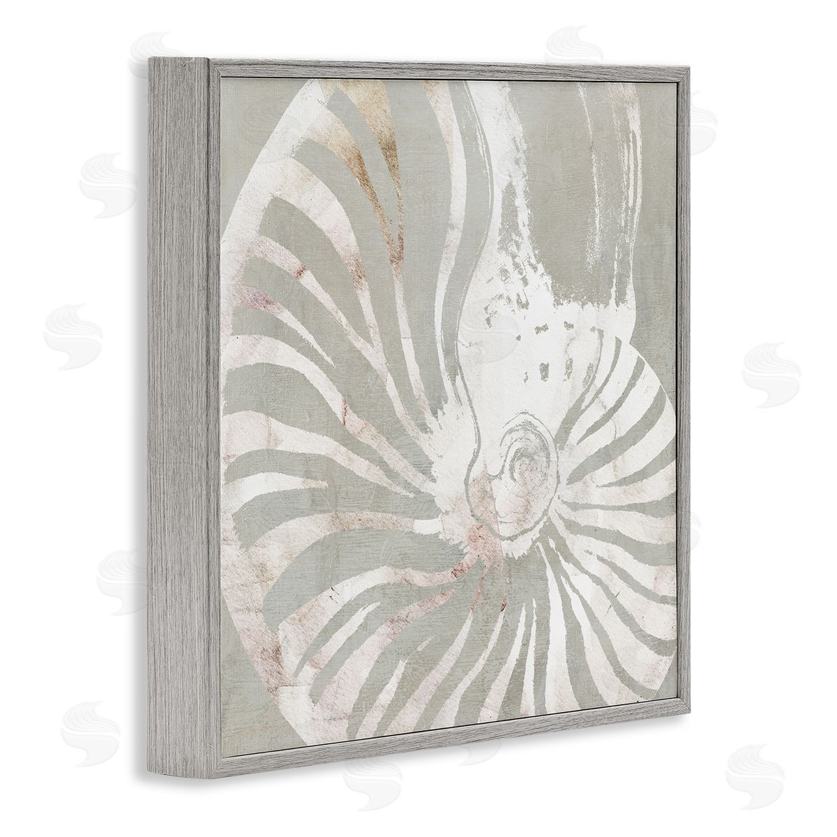 Carol Robinson Beige Nautilus Pattern Gray Framed Giclee Wall Art Print