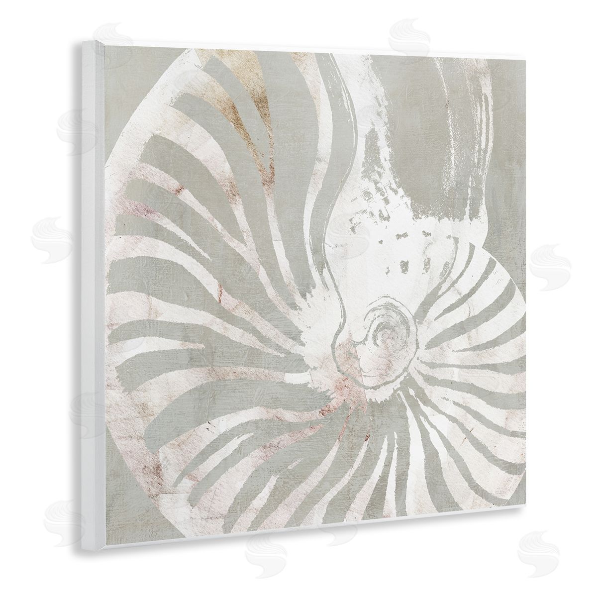 Carol Robinson Beige Nautilus Pattern Wooden Wall Plaque Art Print