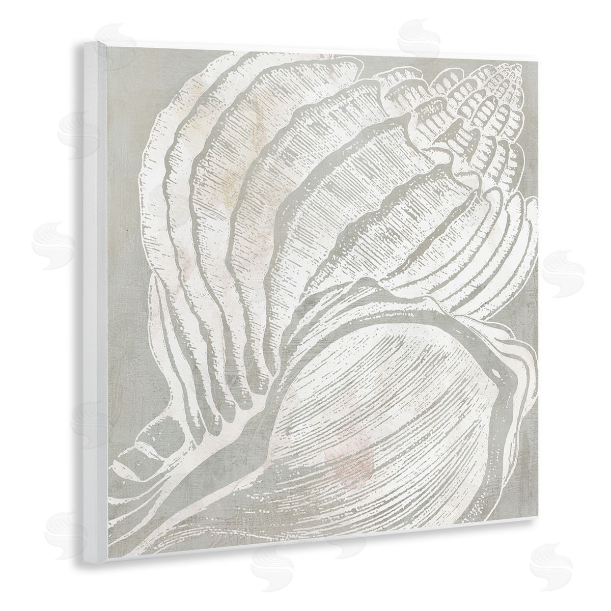 Carol Robinson Beige Conch Pattern Wooden Wall Plaque Art Print