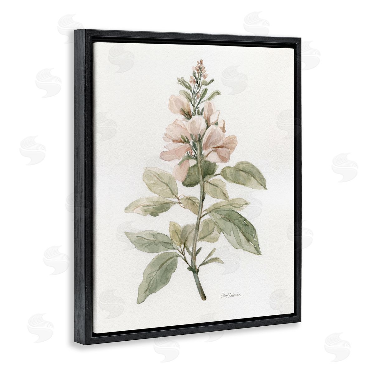 Carol Robinson Subtle Watercolor Botanicals Black Floating Frame Canvas Wall Art Print