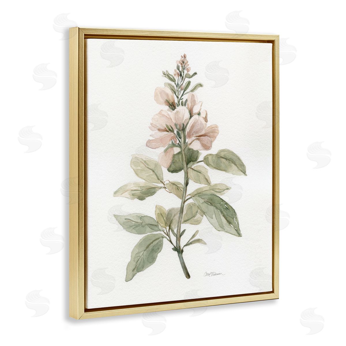 Carol Robinson Subtle Watercolor Botanicals Gold Floating Frame Canvas Wall Art Print