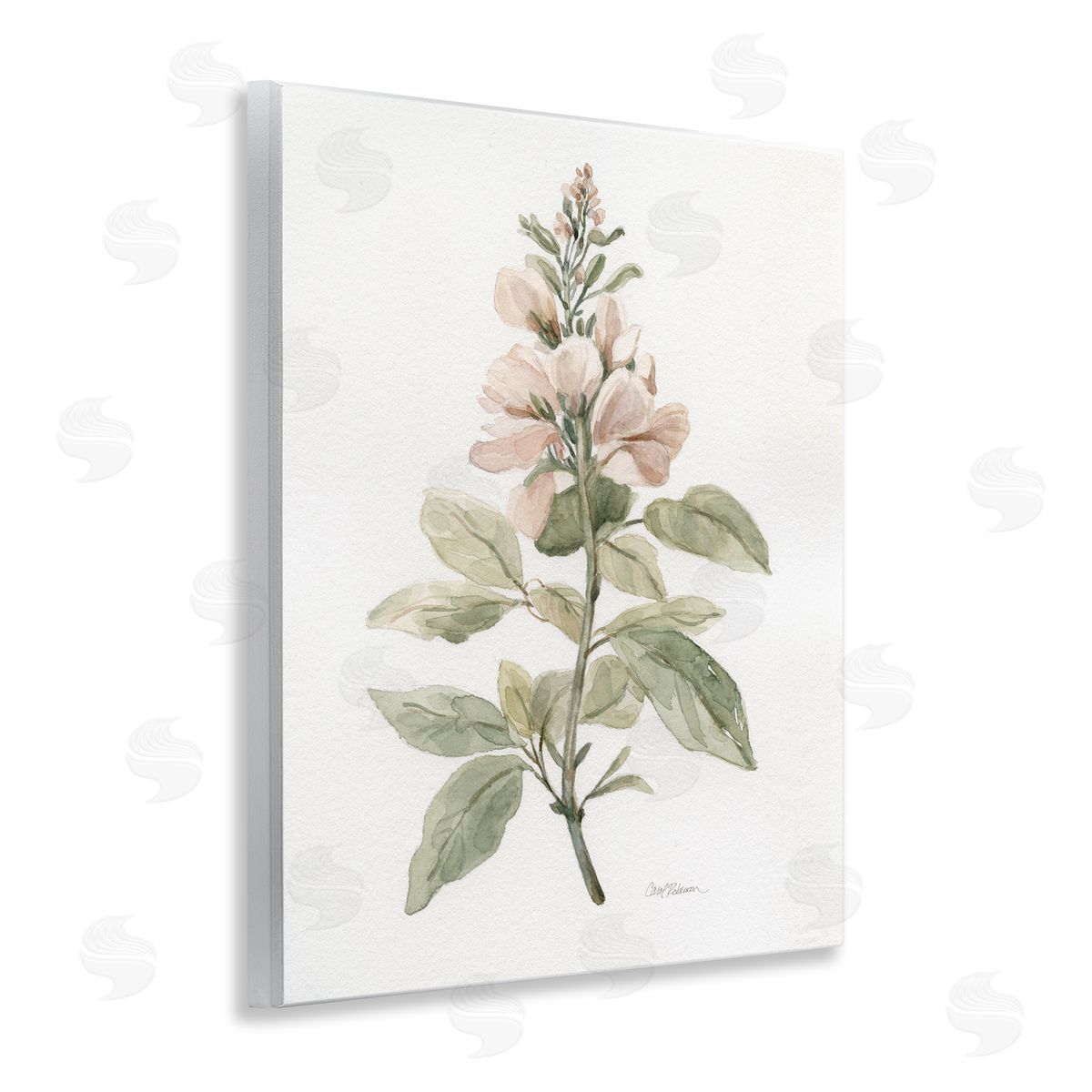 Carol Robinson Subtle Watercolor Botanicals Wooden Wall Plaque Art Print
