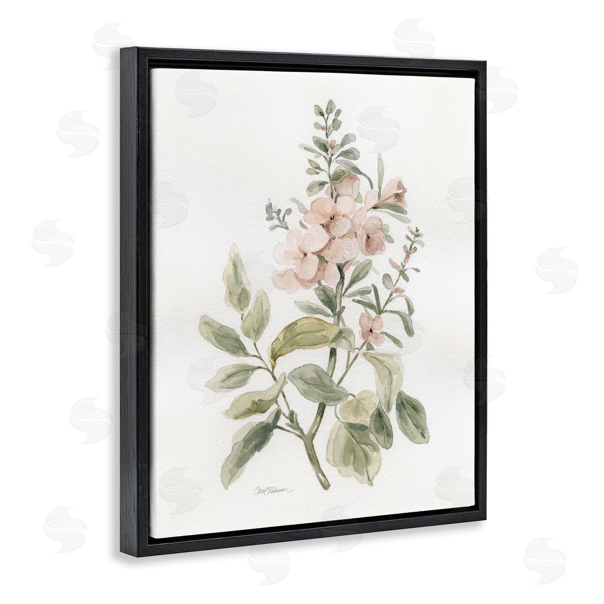 Carol Robinson Dainty Blooming Botanical Black Floating Frame Canvas Wall Art Print
