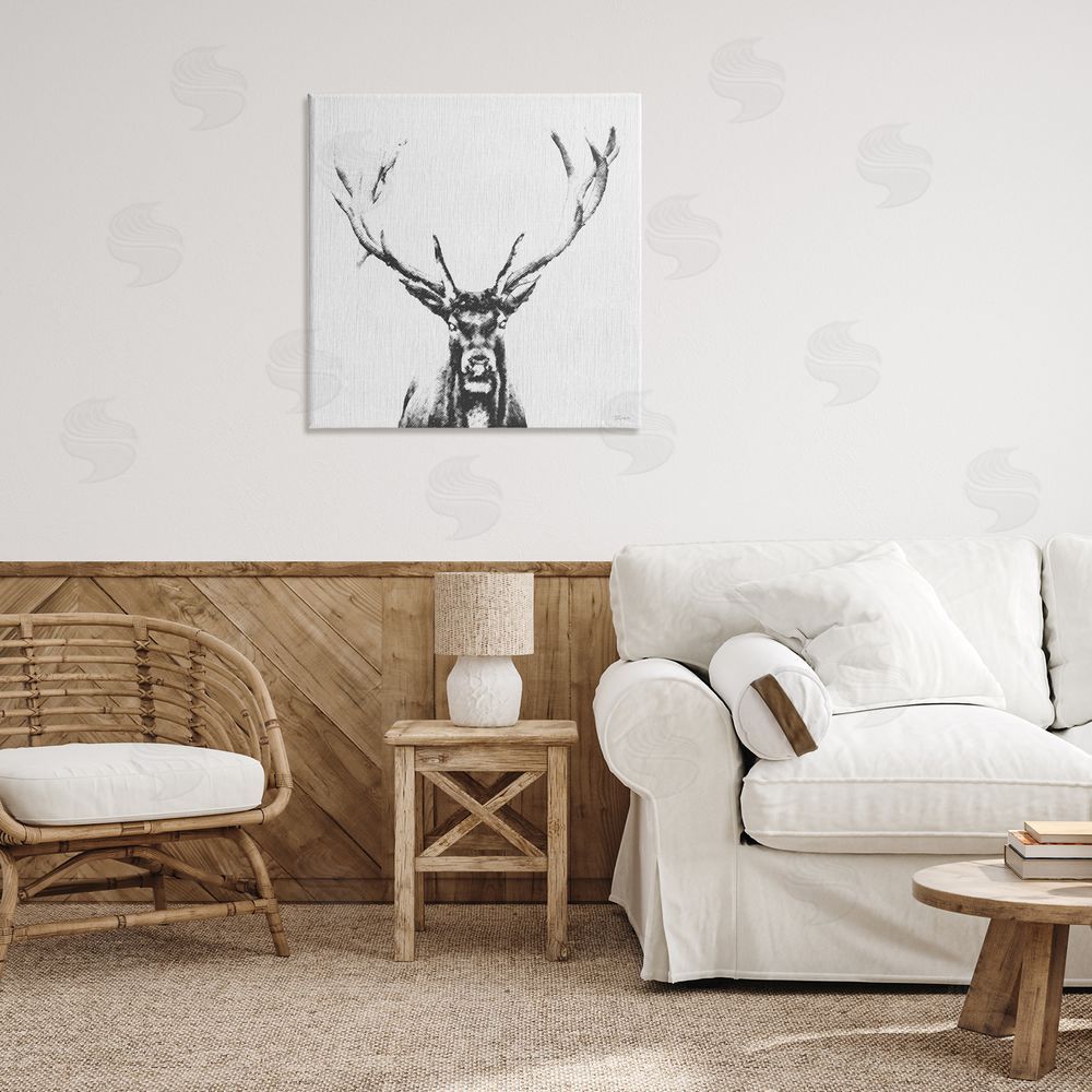 Katrina Craven Stag Sketch in Grey Canvas Wall Art Print in Room