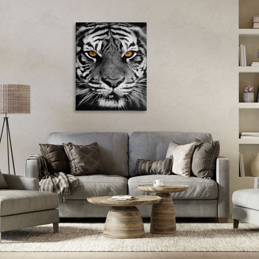 Danita Delimont Fierce Eyed Tiger Canvas Wall Art Print in Room